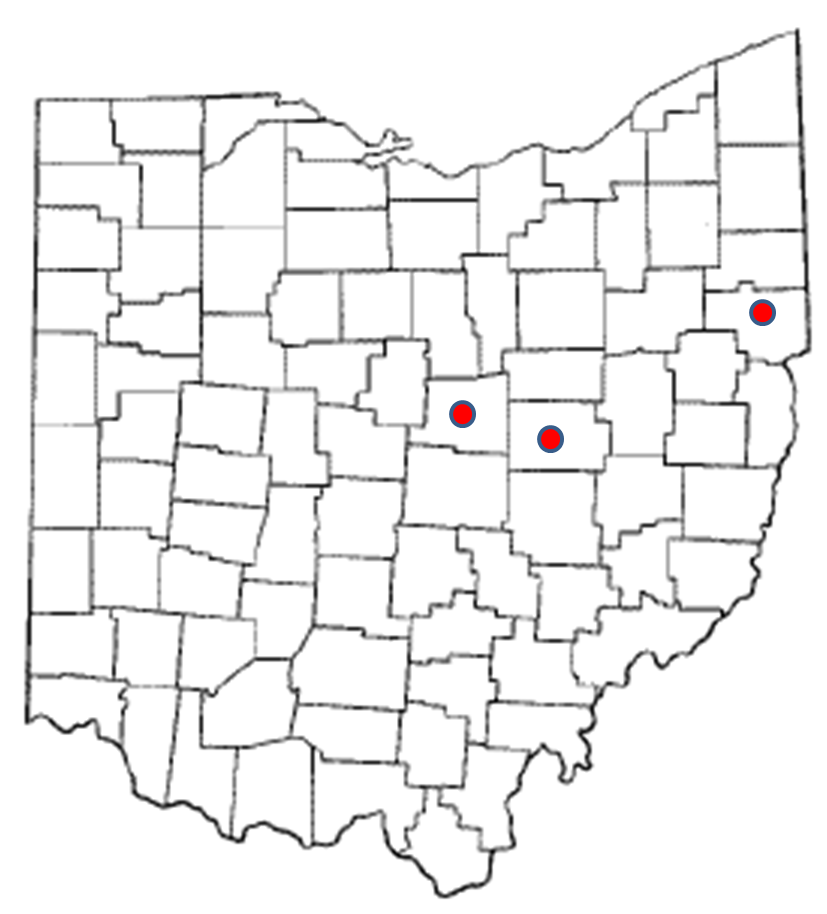 mapplgol